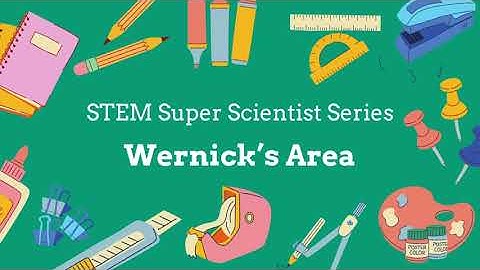 🧠 Wernicke’s Area Explained | The Brain & Language Comprehension 🗣️
