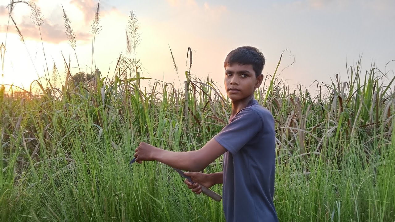 Ham ja rahe the kheton per Sikh Lene per udhar Se Dahan bhi dekhta Aaye🥺🙏🥺❤️