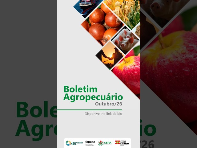 Confira os destaques do Boletim Agropecuário de Outubro/26 👇