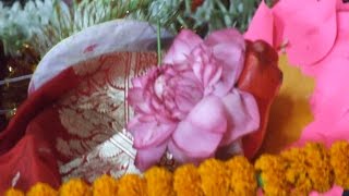 Praxis Yoga Mindfulness Relaxation/Meditation 5 - The Lotus Flower Meditation