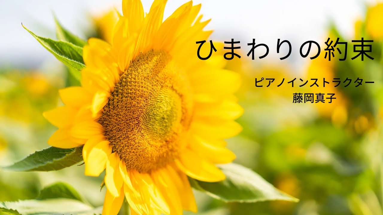 ピアノインストラクター演奏】ひまわりの約束/秦基博 - YouTube