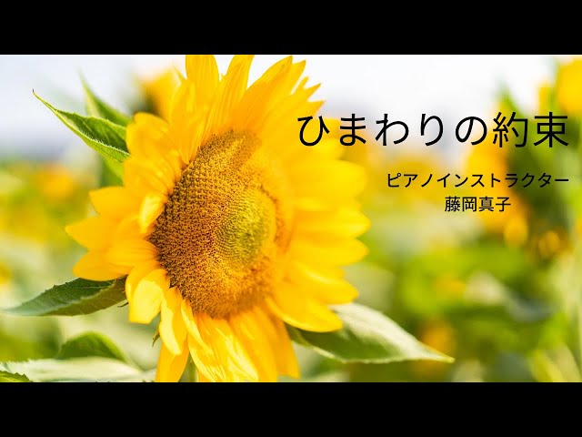 広島弁 ひまわりの約束