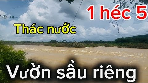 ☎️1 héc 5 thác nước ba dọt vườn sầu riêng thích hợp làm nhà vườn mát mẻ quanh năm