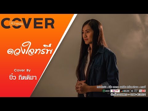 ดวงใจทรพี - บิ๋ว กิตติมา [COVER VERSION]