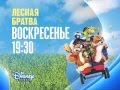 Disney Channel Russia Continuity 15 03 2016