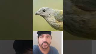 #pedro #narrastar #segue meu canal
