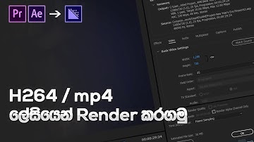 How to Render H264 / mp4 Format in After Effects and Premire Pro