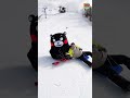 “Snow Flag”