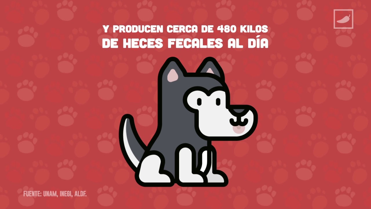 bacterias en la caca de perro