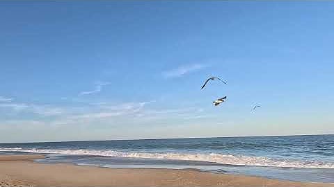 4K SUNSET BEACH WALKING TOUR USA 🇺🇸 | Ambience Walk 