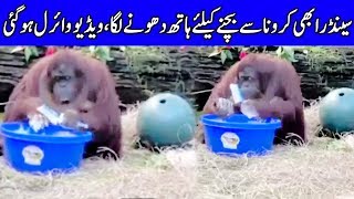 Cute Sandra Washing Hands Video Gone Viral | Message For All | #WashYourHands | Desi Tv screenshot 1