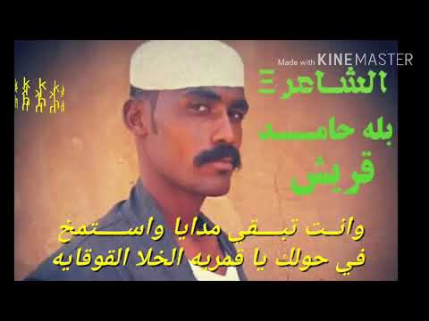 الشاعر بله حامد قريش 