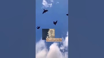"فقلت استغفروا ربكم إنه كان غفارا" ما تيسر من سورة نوح للشيخ ماهر المعيقلي 🌻 💙