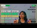 Understand the Human Excretory system with Nephron| Class 10 Science| NCERT CBSE2026-27