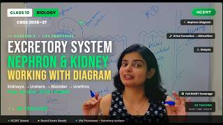 Understand the Human Excretory system with Nephron| Class 10 Science| NCERT CBSE2026-27