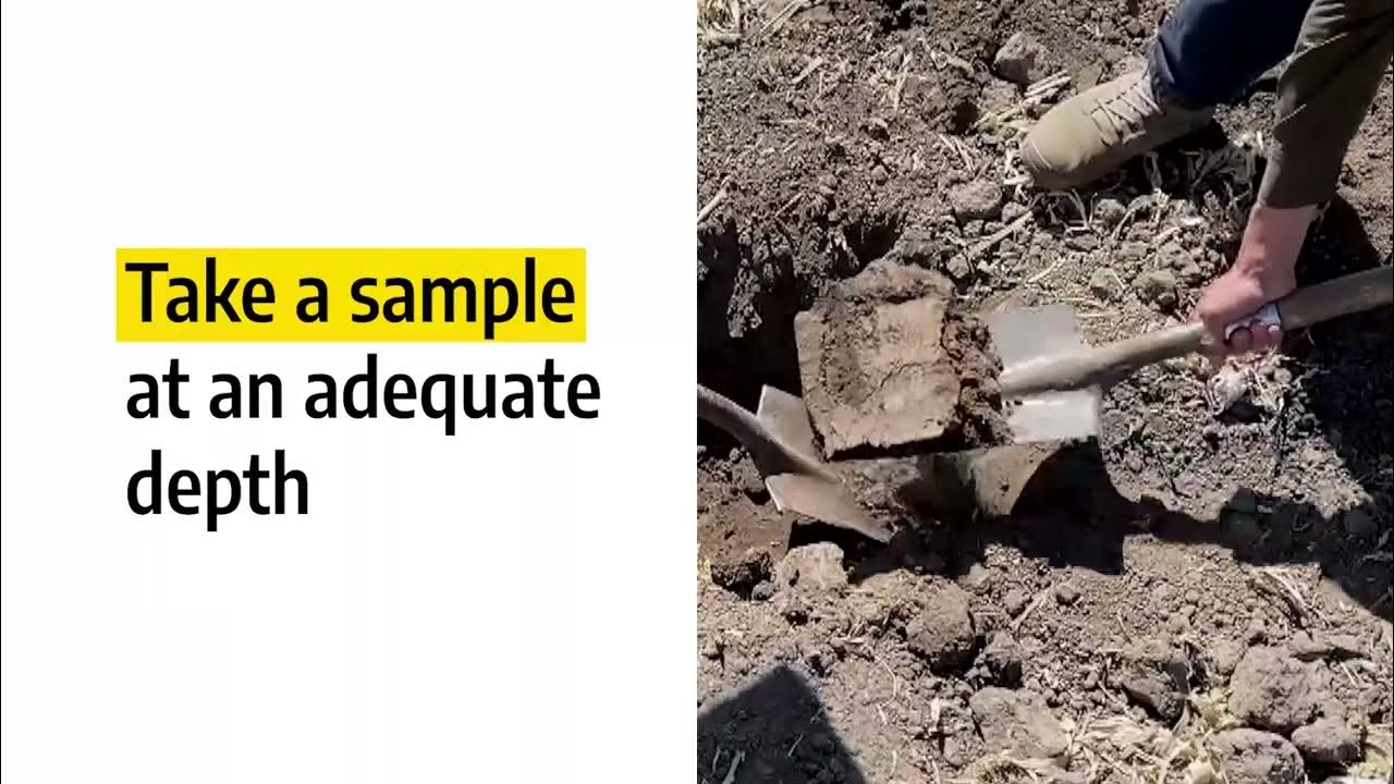 How to perform soil sampling YouTube