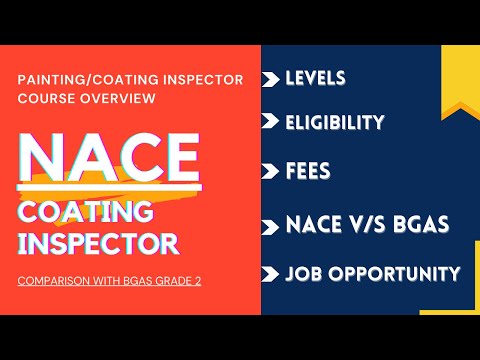 [English] NACE Coating Inspector Level I (Overview)