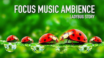 Focus Music 🐞🍃🌸 Work Study Concentration Mindfulness Meditation [Ladybug Ambience] (Birds singing)