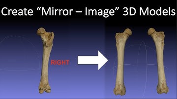 Creating Mirror-Image 3D Models   [MeshLab Workflow]