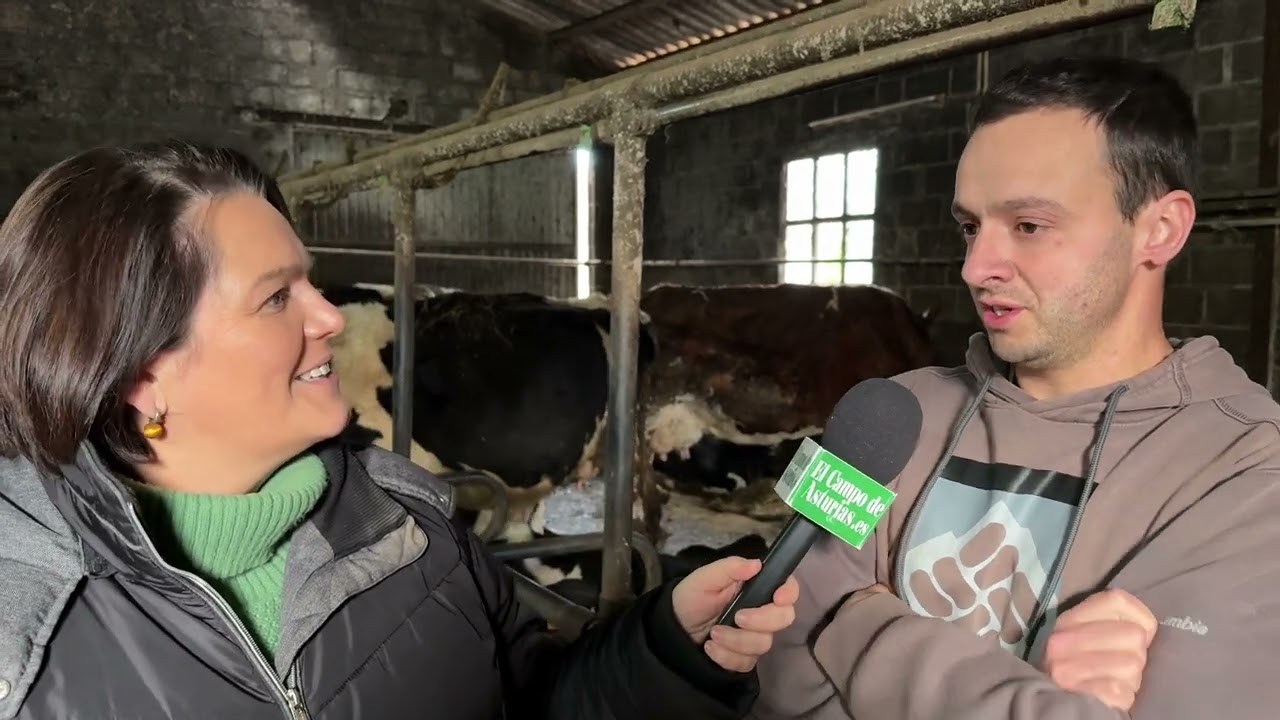 Entrevista a Jaime Vallina Sánchez, cotitular de Ganadería La Corba de Nava / El Campo de Asturias