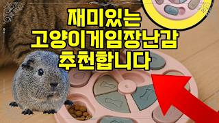 ❤️ Recommended Cat Game Toy 🐾 Fun time with your cat! Stay healthy while playing with the food pu... screenshot 4