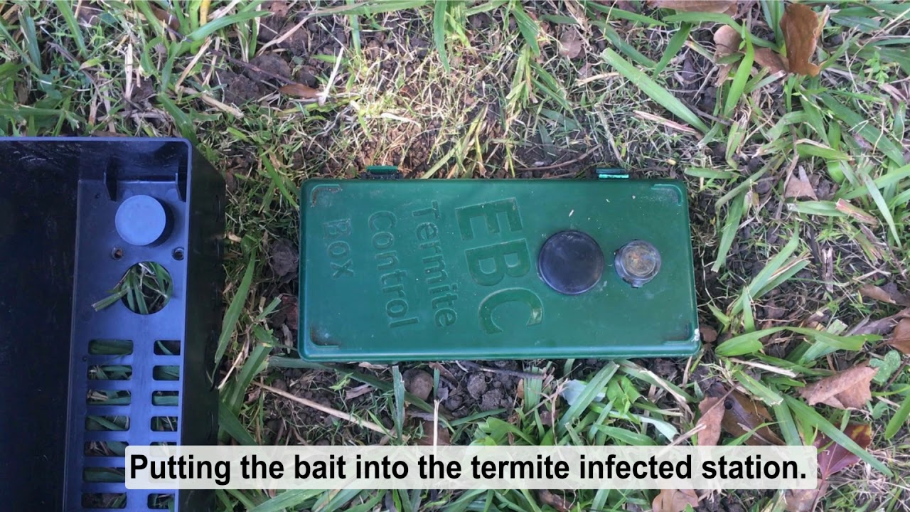How to Assemble Bait Station on Top of the Infected Staton YouTube