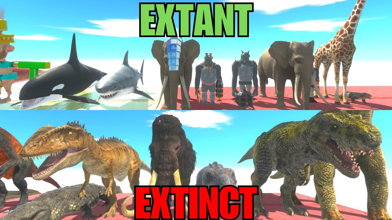 TOURNAMENT! EXTINCT X EXTANT! - ARBS PC TOURNAMENT! - YouTube