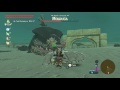 Zelda Breath of the Wild - Fastest way to kill Molduga