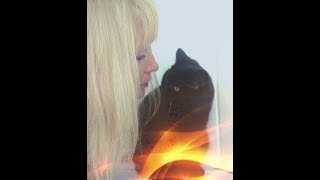 Создай себе хорошее настроение Создай себе хорошее настроение