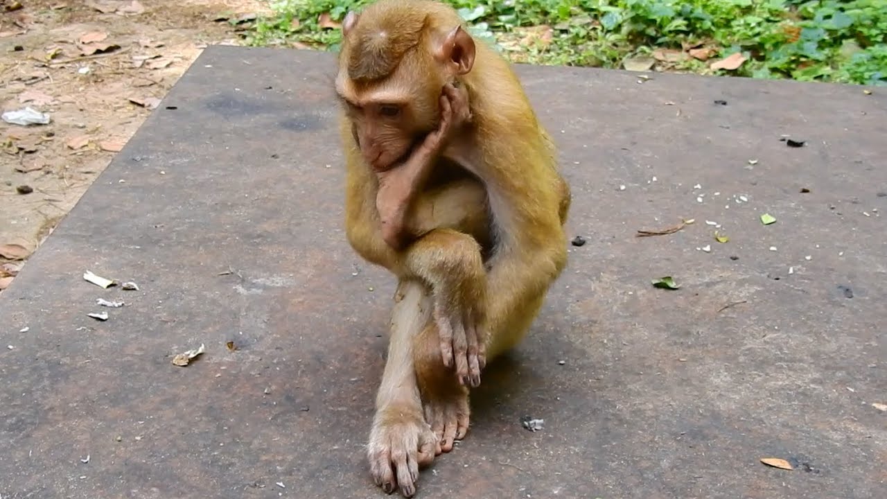 How stress is Liza staying? She looked quite hungry.