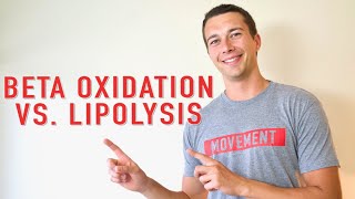 Lipolysis vs. Beta Oxidation (How Fat is Oxidized)