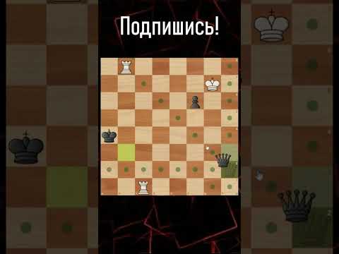 Гениальный шахматный этюд! #chess #шахматы #shorts