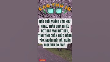 Câu Đố Vui Nhộn 3: Thử Thách Tư Duy Logic Của Bạn p37 | Cao Thủ IQ #funny #dovui #giaitri #haihuoc