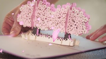 QUECIA ZONE POP UP CARD CHERRY BLOSSOM