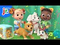 Pet Party Adventure Quiz