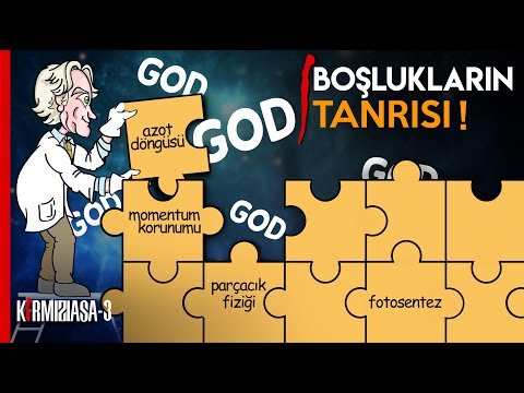 Video: Bilik boşluğunu hansı doldurur?