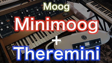 Moog Minimoog + Theremini