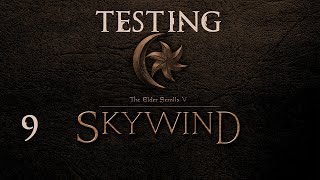 Testing Skywind Part 9
