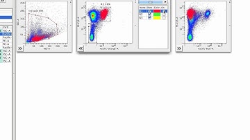 How To Manage Backgating