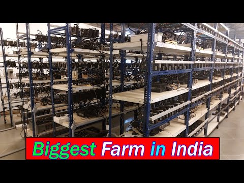 Biggest Mining Farm In India || Harsh Gupta, Sachin U0026 Aditya Bhati || [Hindi].