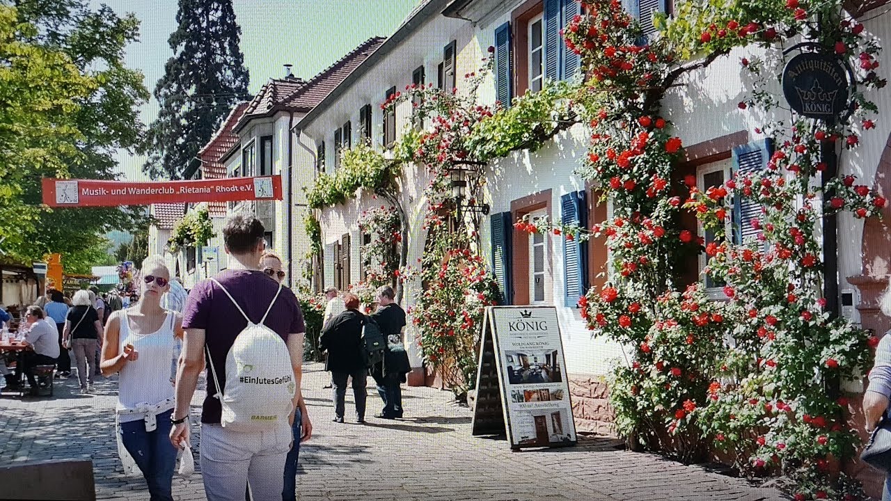 Heimat- u. Blütenfest Rhodt u. Rietburg ( Pfalz)  19.05.2018