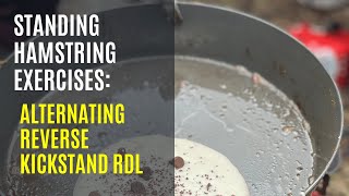 Progressing Your Hamstring Strength: Alternating Reverse Kickstand RDL screenshot 3