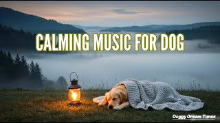 Calming Pet Music for Dogs With Anxiety - 12 Hour Stress Relief and Peaceful Relaxation Sounds (Copy