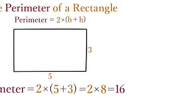 Lesson 05   The Perimeter of a Rectangle
