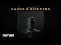 Miniature de la vidéo de la chanson Capos Y Bichotes