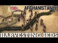 Harvesting IEDs in Afghanistan - Afghanistan '11