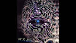Phutureprimitive - Ritual