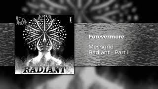 Meshgrid - Forevermore (Demo)
