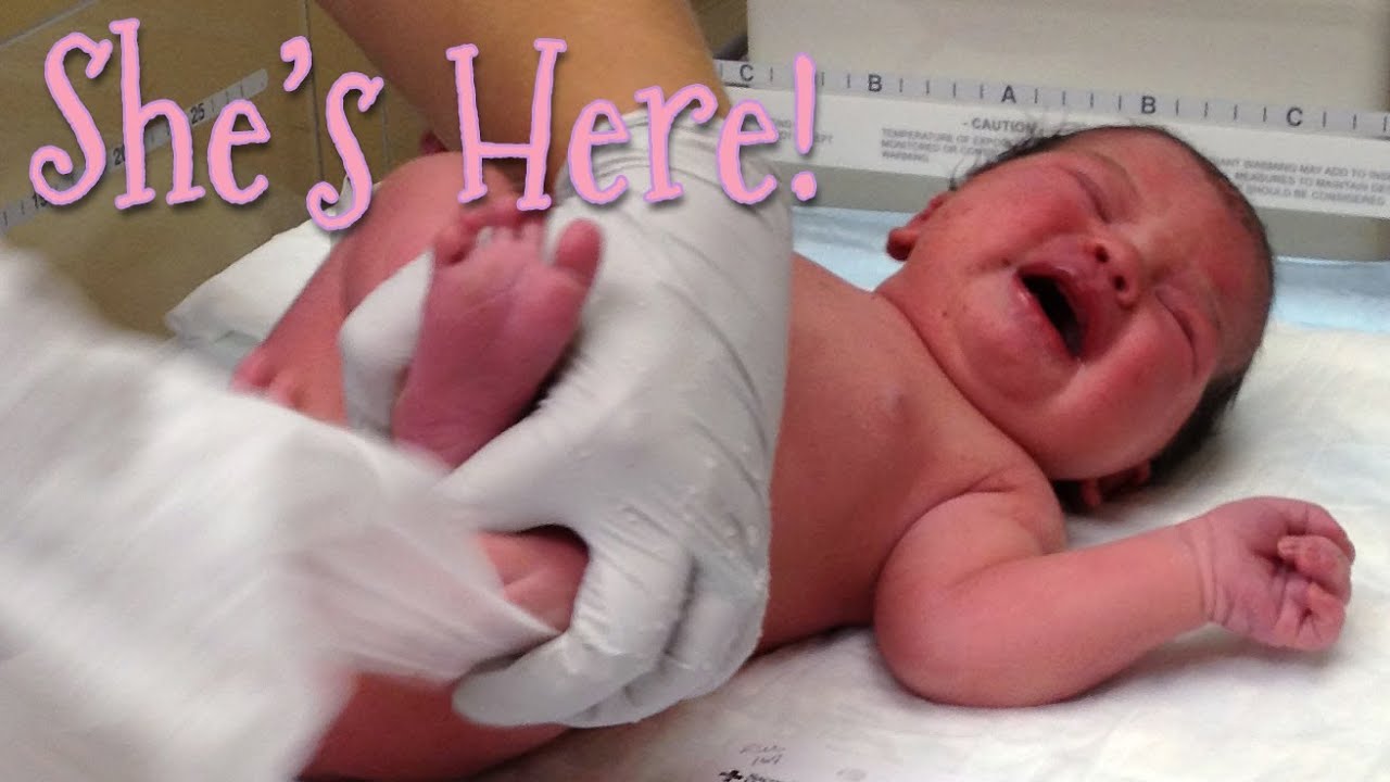 BABY SQUISH IS HERE!! YouTube