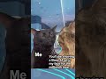 #YouTube #Ad #Ads #Base44 #Funny #Memes #FunnyMemes #CatMemes #Shorts